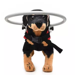 Prsten proti nárazům pro psy - ochranný obruč pro domácí zvířata S (Červená) TopTechnology Prsten proti nárazům pro psy - ochranný obruč pro domácí zvířata S (Červená) TopTechnology