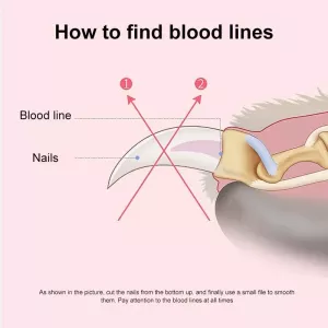Sada zastřihovačů a leštiček na nehty pro domácí mazlíčky, velikost: malá (růžová) TopTechnology Sada zastřihovačů a leštiček na nehty pro domácí mazlíčky, velikost: malá (růžová) TopTechnology
