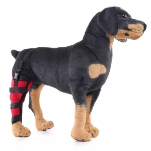 HJ19 Ochranný obvaz na zadní nohu pro domácí zvířata, velikost M (červený pravý zadní) TopTechnology HJ19 Ochranný obvaz na zadní nohu pro domácí zvířata, velikost M (červený pravý zadní) TopTechnology