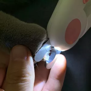 Zastřihovač nehtů pro kočky a psy s LED světlem (modrý) TopTechnology Zastřihovač nehtů pro kočky a psy s LED světlem (modrý) TopTechnology