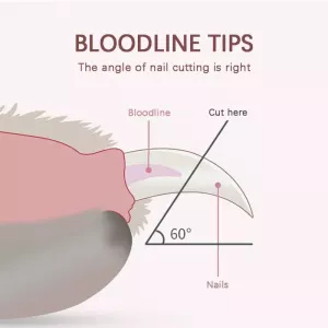Zastřihovač nehtů pro kočky a psy s LED světlem (modrý) TopTechnology Zastřihovač nehtů pro kočky a psy s LED světlem (modrý) TopTechnology