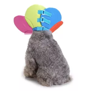 Obojek pro psy ochranný květinový, velikost M (duhový) TopTechnology Obojek pro psy ochranný květinový, velikost M (duhový) TopTechnology