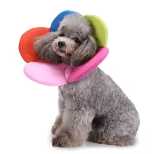 Obojek pro psy ochranný květinový, velikost M (duhový) TopTechnology Obojek pro psy ochranný květinový, velikost M (duhový) TopTechnology