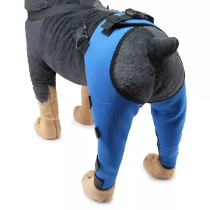 Ochranný obal na koleno psa pro operaci a zranění, velikost: L (modrá) TopTechnology Ochranný obal na koleno psa pro operaci a zranění, velikost: L (modrá) TopTechnology