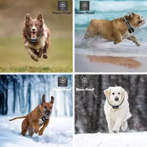 Inteligentní trenér pro psy 2 v 1 s bezdrátovým plotem a kontrolou štěkání