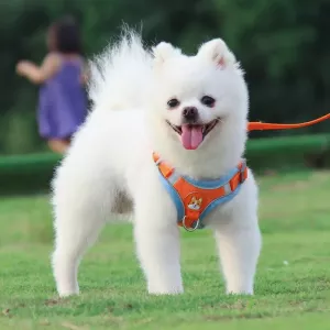 BL-867 Reflexní vodítko pro psy - hrudní popruh velikost S (fialový) TopTechnology BL-867 Reflexní vodítko pro psy - hrudní popruh velikost S (fialový) TopTechnology