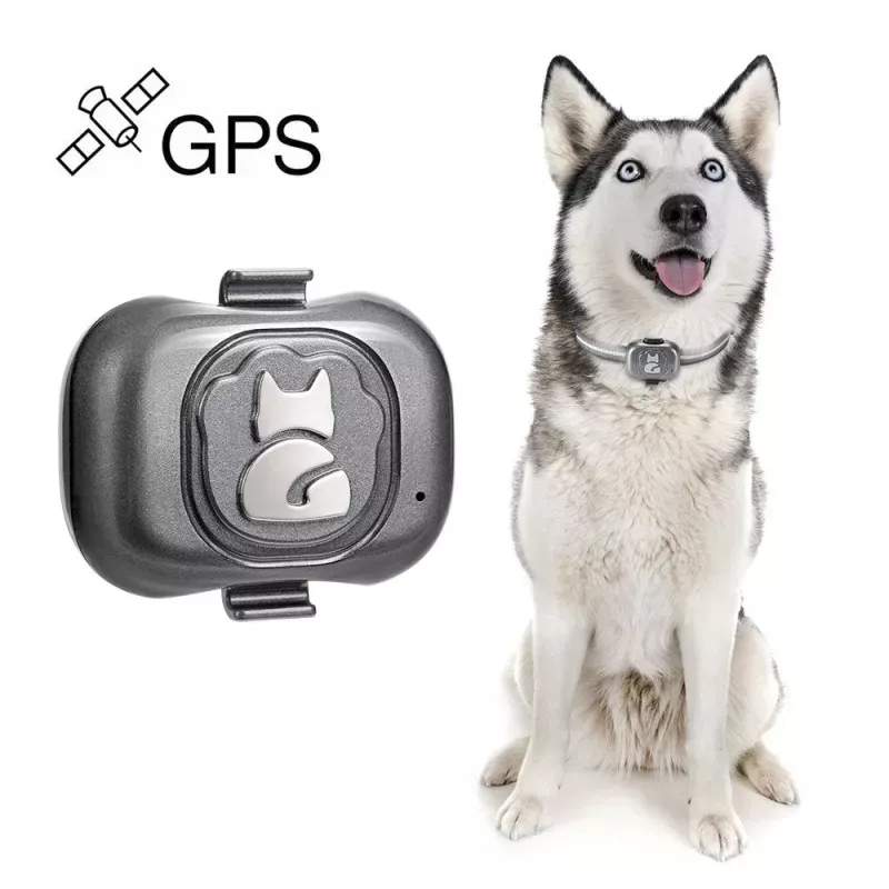G16 GPS Tracker pro domácí mazlíčky s voděodolným obojkem IP67 - sledování psů a koček TopTechnology