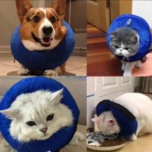 Obojek pro psy PVC Nafukovací Antiroztržení, Velikost:L (Modrý) TopTechnology Obojek pro psy PVC Nafukovací Antiroztržení, Velikost:L (Modrý) TopTechnology