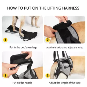 Pomocný popruh pro zadní nohy psa - dekompresní cestovní pás pro starší a zraněné psy, velikost: S TopTechnology Pomocný popruh pro zadní nohy psa - dekompresní cestovní pás pro starší a zraněné psy, velikost: S TopTechnology