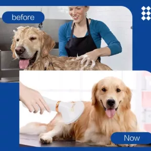 Elektrický hřebínek a sušička na srst pro psy a kočky - UK plug (zelený) TopTechnology Elektrický hřebínek a sušička na srst pro psy a kočky - UK plug (zelený) TopTechnology