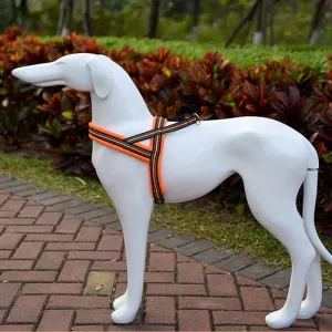 Hrudní popruh pro psy Pet A7 s reflexními prvky, velikost S, 2.0*50*62cm (Oranžový) TopTechnology Hrudní popruh pro psy Pet A7 s reflexními prvky, velikost S, 2.0*50*62cm (Oranžový) TopTechnology