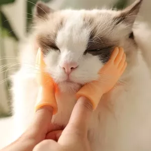 Pet Massage Finger Cots and Cat Gloves - masážní rukavice pro kočky