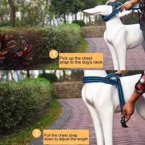 Reflexní polyesterový hrudní postroj pro psy A7, vodítko pro velké psy, velikost S, 2.0*50*62cm (černá) TopTechnology Reflexní polyesterový hrudní postroj pro psy A7, vodítko pro velké psy, velikost S, 2.0*50*62cm (černá) TopTechnology