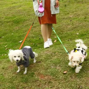 Dvouhlavý kreativní automatický teleskopický vodítko pro domácí mazlíčky (růžové) TopTechnology