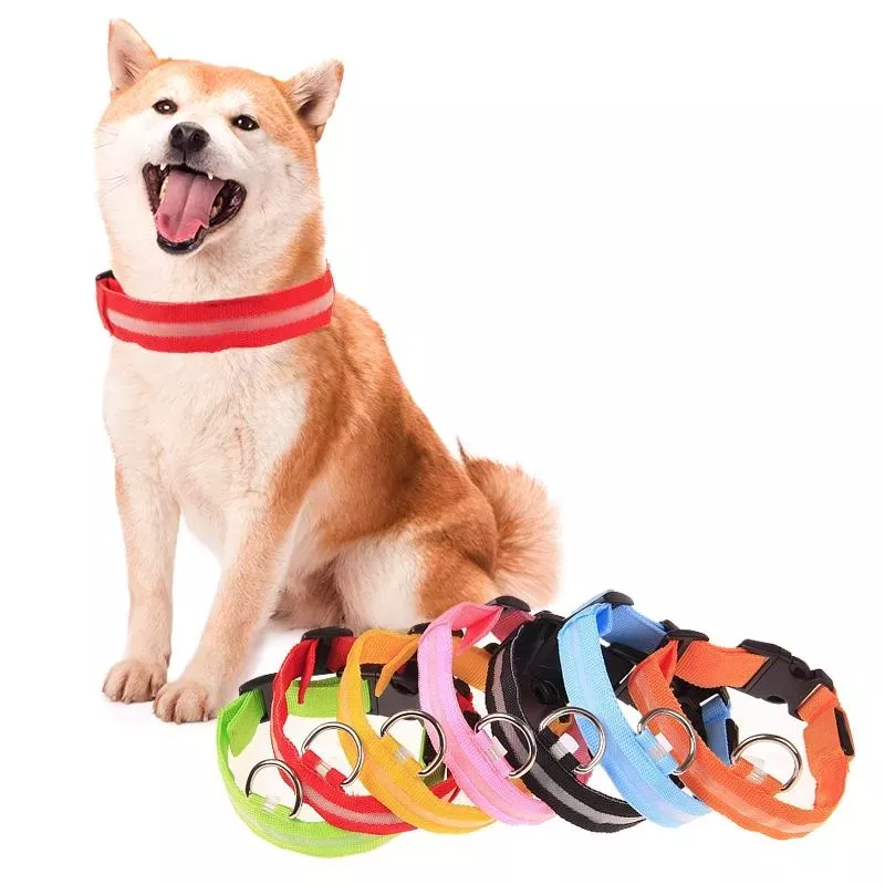 Nastavitelný 3-režimový LED blikající obojek pro psy, velikost: M (náhodná barva) TopTechnology