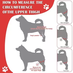 Ochranný pás na zlomeniny nohou pro psy, velikost: S (černý) TopTechnology