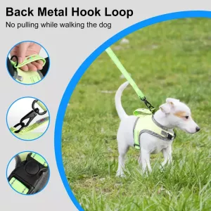 FunAdd Reflexní Nylonový Hrudní Popruh pro Psy, Velikost: S (Zelený) TopTechnology