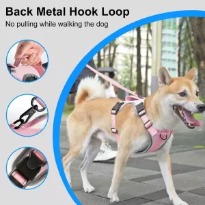 FunAdd Reflexní nylonový postroj pro psy, velikost M (růžový) TopTechnology