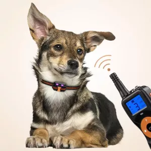 Smart elektronické dálkové ovládání pro výcvik psů - vodotěsný zastavovač štěkání (pro jednoho psa, červený)