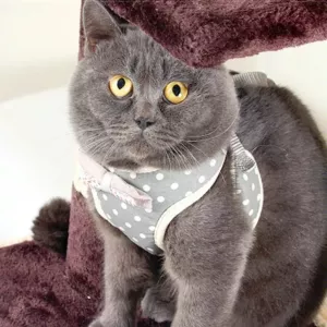 Vodítko pro malého psa s hrudním popruhem - popruh proti roztržení, velikost M (šedá) TopTechnology Vodítko pro malého psa s hrudním popruhem - popruh proti roztržení, velikost M (šedá) TopTechnology