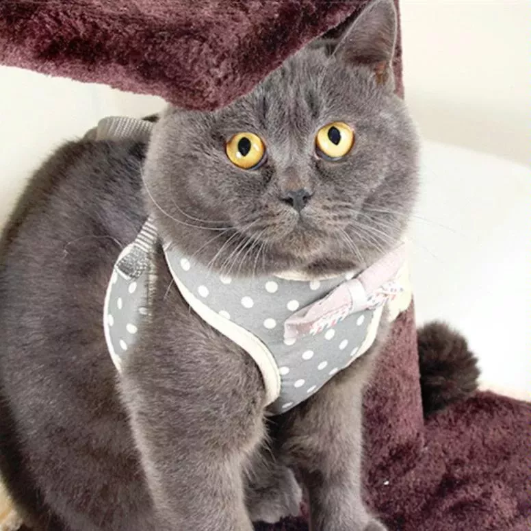 Vodítko pro malého psa s hrudním popruhem - popruh proti roztržení, velikost M (šedá) TopTechnology