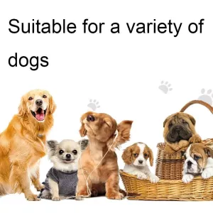 Vodotěsný šokový obojek pro psy Pet Smart s dálkovým ovládáním do 1000 m