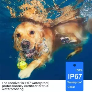 Zařízení pro výcvik psů s dálkovým ovládáním a elektrickým obojkem (One To One) TopTechnology