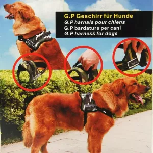 Hrudní popruh pro psy Soft Thicken, velikost M (50-65cm)(Černý) TopTechnology