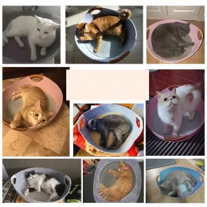 Univerzální plstěné hnízdo pro domácí mazlíčky - pelíšek pro kočky (růžový) TopTechnology Univerzální plstěné hnízdo pro domácí mazlíčky - pelíšek pro kočky (růžový) TopTechnology