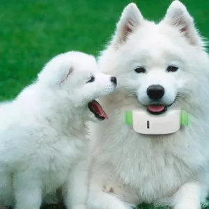 KH-909 Univerzální IPX6 Vodotěsný GPS Tracker pro domácí mazlíčky, děti a seniory (Bílá + Modrá) TopTechnology