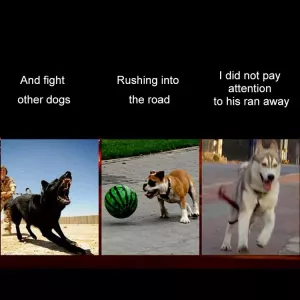 Obojek pro střední a velké psy s LED světlem, solární a USB nabíjení, obvod krku: S, 35-40cm (bílý) TopTechnology