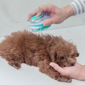 Šamponovací kartáč pro mazlíčky - masáž a péče (modrý) TopTechnology Šamponovací kartáč pro mazlíčky - masáž a péče (modrý) TopTechnology