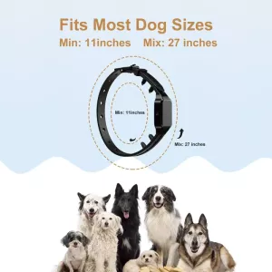 Výkonný elektrický tréninkový obojek pro psy s funkcí šoku, pouze přijímač TopTechnology Výkonný elektrický tréninkový obojek pro psy s funkcí šoku, pouze přijímač TopTechnology