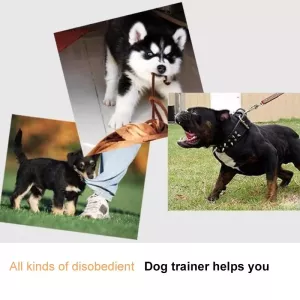 Elektrický psí výcvikový obojek na dálkové ovládání (bílý) TopTechnology