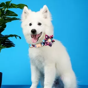 Obojek pro psy s květinovým vzorem, nastavitelné, s kovovou sponou, lze gravírovat, velikost S 1.5x40cm (oranžový) TopTechnology