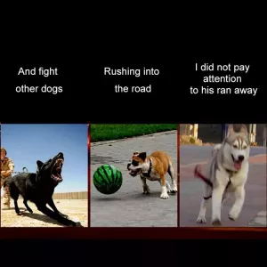 Obojek pro středně velké a velké psy s LED světlem – solární + USB nabíjení, obvod krku: L, 50-60cm (růžový) TopTechnology