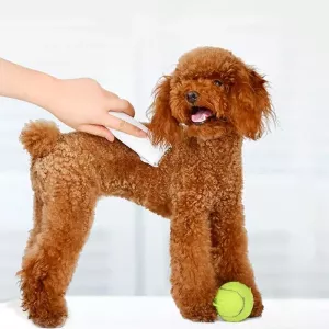 Original Xiaomi Youpin Pawbby Profesionální nůžky pro psy s elektrickým nabíjením (Bílé) TopTechnology