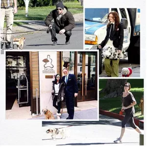 Vodítko pro střední a velké psy - modré, 3mm*40cm TopTechnology