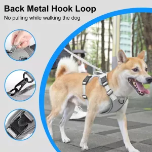 FunAdd Reflexní nylonový postroj pro psa, velikost M (šedý) TopTechnology