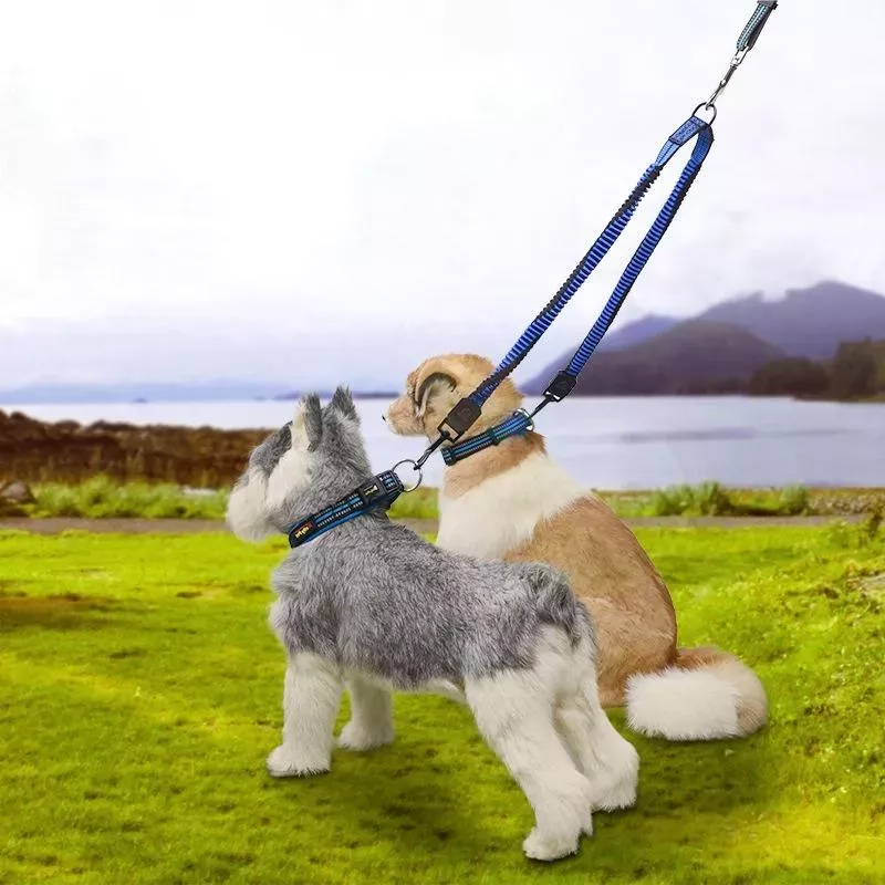 Vodítko pro domácí zvířata - teleskopické 70cm, dvojité tažení TopTechnology