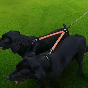 Vodítko pro psy TPU 2 v 1 bez zamotání, Délka: 25 cm (Červené) TopTechnology