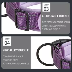 Hrudní popruh pro psy s neoprenovým podšívkou a reflexními prvky pro AirTag - Velikost S (Královsky modrá) TopTechnology