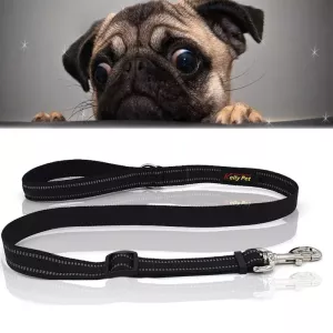 Vodítko pro psy Pet Dogs Nylon Noční Reflexní Prodyšné Ruční Systém Velikost: S (Černé) TopTechnology