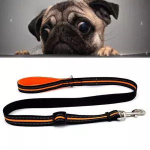 Vodítko pro psy Pet Dogs Nylon, noční reflexní, velikost S, nastavitelný rozsah: 100-140 cm (oranžové) TopTechnology