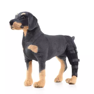 HJ19 Ochranný obvaz na zadní nohy pro psy, velikost M (černý, levý zadní) TopTechnology