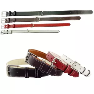 Kožený obojek pro psy velké velikosti, černý, 2,5 * 51 cm TopTechnology