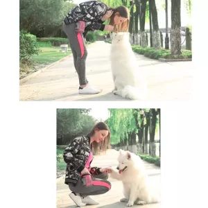 Pet Training Waist Bag Outdoor Multifunctional Snack Bag Pet Supplies (Šedá) TopTechnology