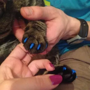 20 ks silikonové měkké ochrany na drápky pro kočky, velikost M (bílé)