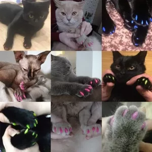 20 ks silikonové měkké ochrany na drápky pro kočky, velikost M (bílé)
