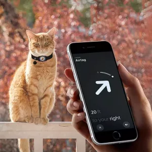 Vodotěsný obal pro AirTag s koženým obojkem pro domácí mazlíčky (fialový)